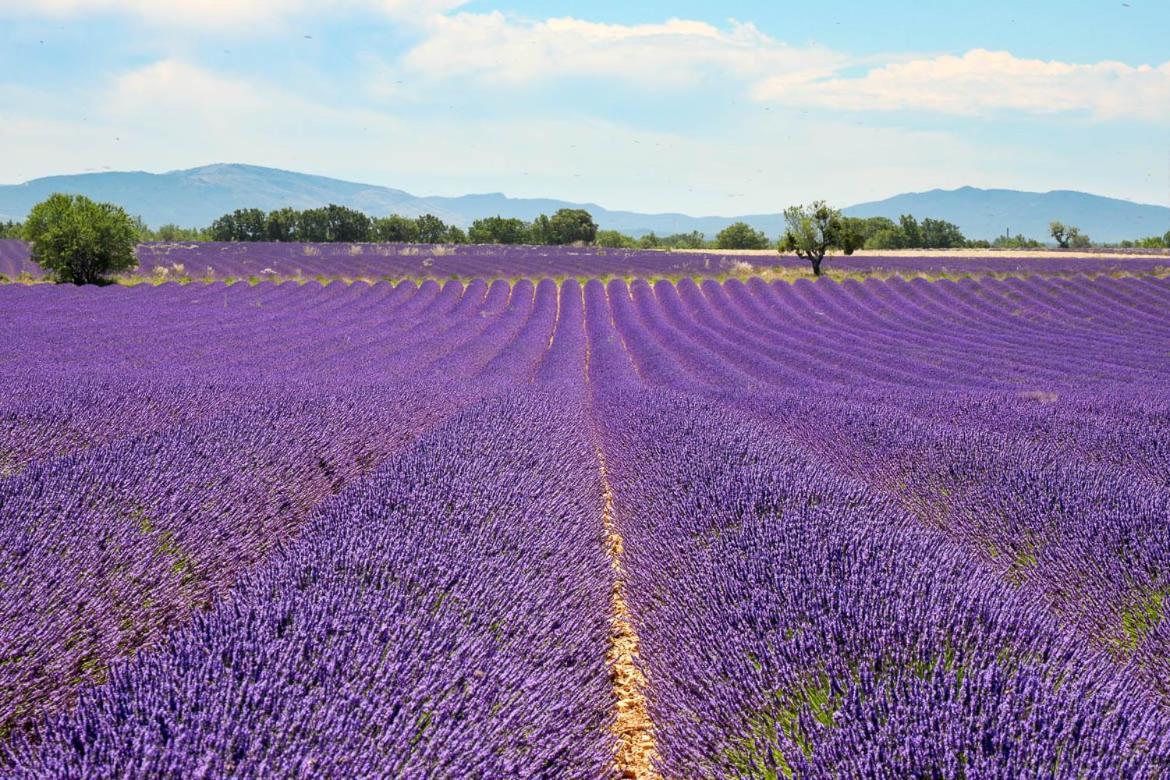 Roulotte Bohemian Lover In Provence, וואלנסול מראה חיצוני תמונה