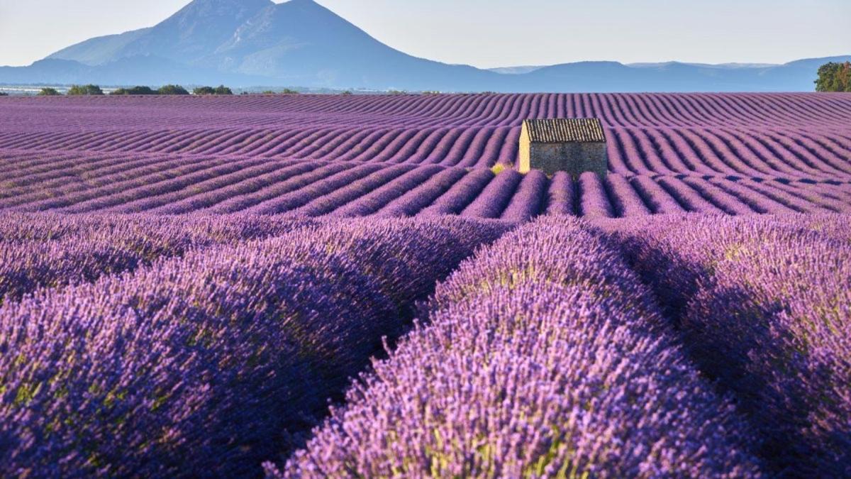 Roulotte Bohemian Lover In Provence, וואלנסול מראה חיצוני תמונה